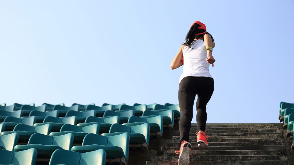 persistence in training